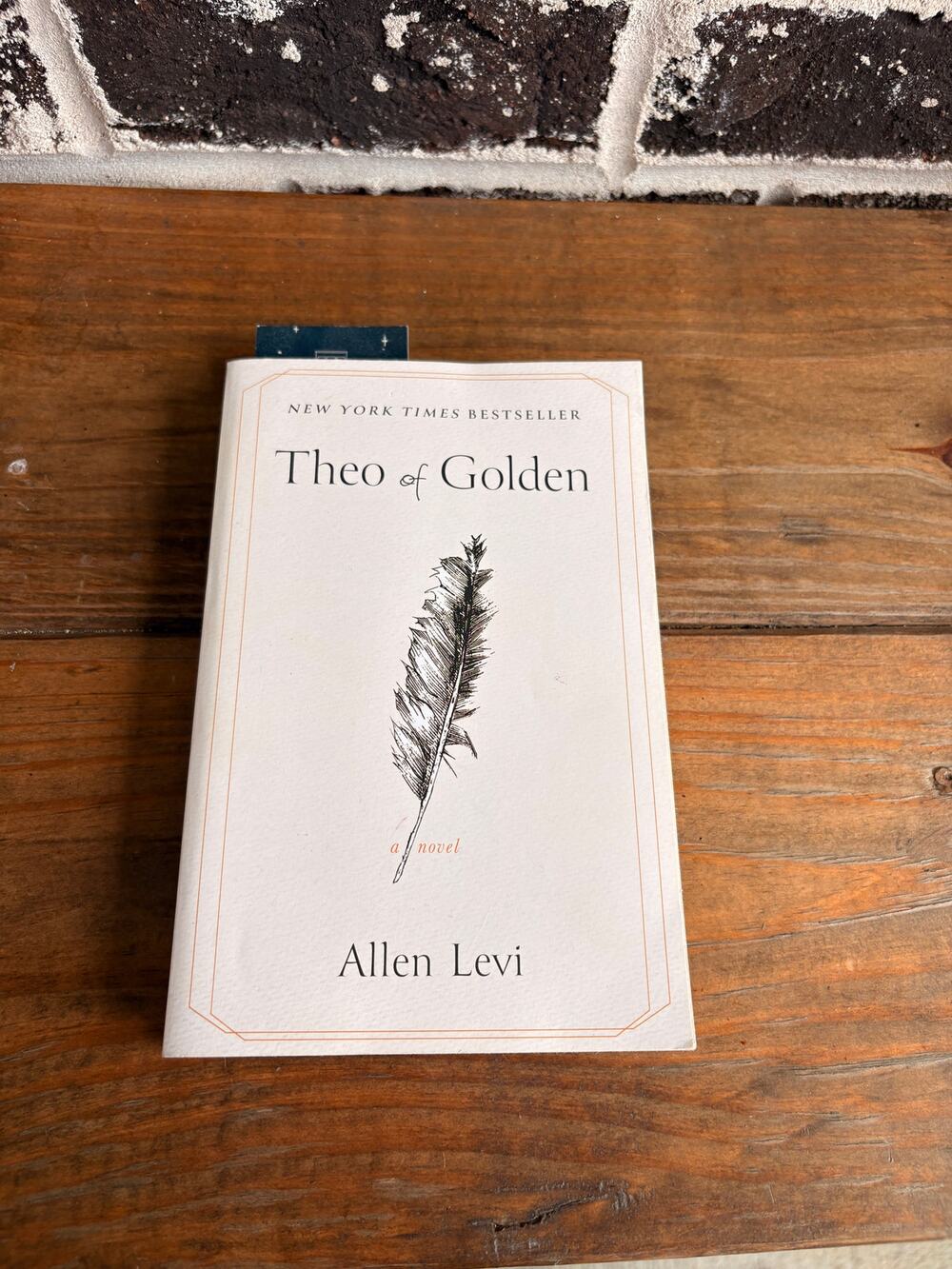 Theo of Golden by Allen Levi Paperback New York Times Bestseller Novel